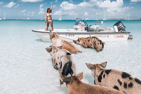Exuma Elite Escape: Luxury Fly-In Pig Beach Adventure - 7 Stops