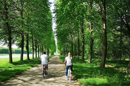 Versailles Bike Tour with Market, Gardens & Guided Palace Tour