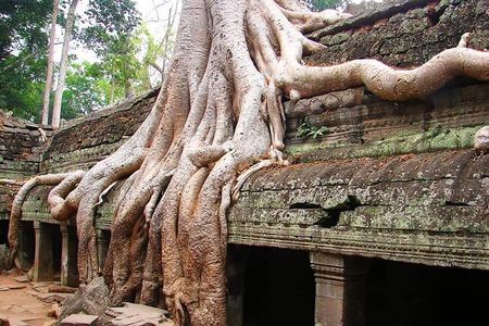 Best of Angkor in 3 Days: Temples, Culture & History