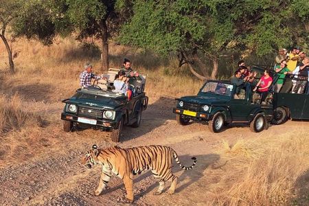 7-Days Golden Triangle with Ranthambore National park tour
