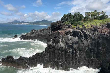 Jeju island: Van tour with a guide who the most loves JEJU