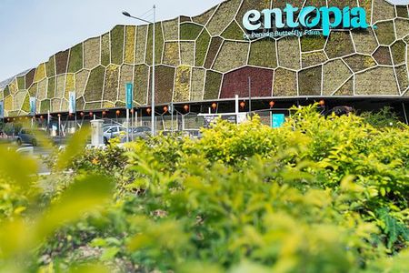 Private Tour: Full Day Tour Highlights of Penang Island