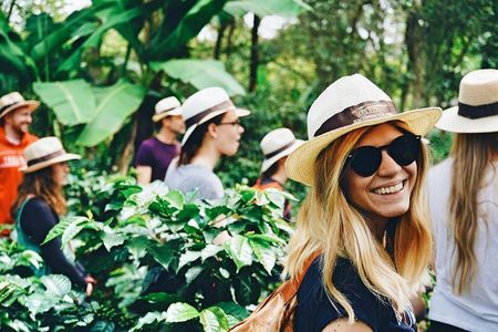 Private Tour to Coffee Farm Hacienda Coloma: Tickets, Guide, 8hr