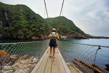 From Cape Town: 2-Nights, 3-Days Garden Route private tour