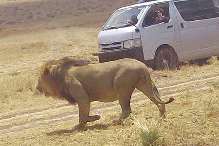 3 Days Maasai Mara Budget Group Safari