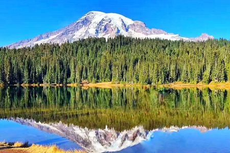 Mount Rainier National Park Day Tour from Seattle 