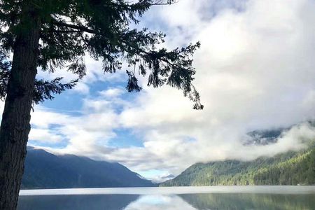 Olympic National Park Full-Day Tour W/ Scenic State Ferries