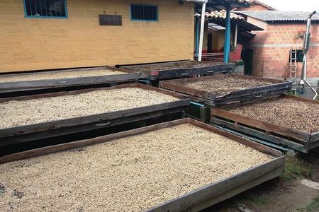 Coffee Tour Santa Bárbara a 1 hora de Medellín 
