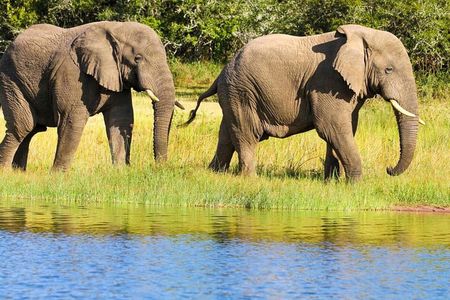 2 Days in Akagera National Park 