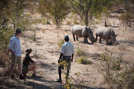 Private Rhino Walking Safari Experience from Livingstone