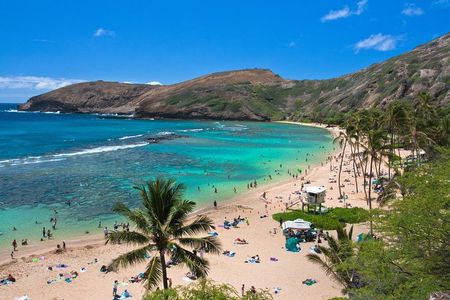 Oahu Island Sightseeing Tour
