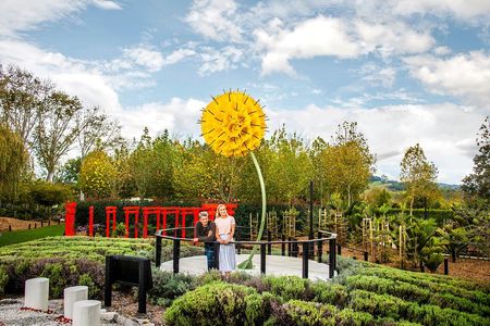 Private tour - Matakana Art & Wine Village