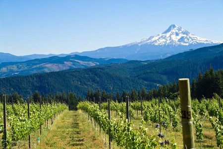 Mt. Hood Loop Tour from Portland