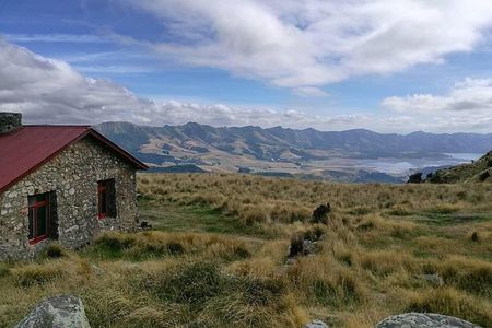 Guided Walk & Scenic Drive from Christchurch- Port Hills & Packhorse Hut