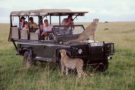 5 Days Aberdares Lake Nakuru & Masai Mara Wildlife Safari