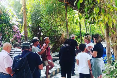 Agadir Day Trip to ​Taroudant & Tiout