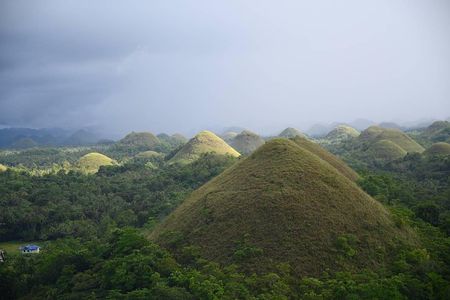 Bohol Chocolate Hills & Tarsiers with roundtrip ferry from Cebu
