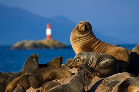 Navigation Beagle Channel Isla de Lobos