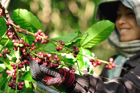 Full Day Crossing the Bolaven Plateau