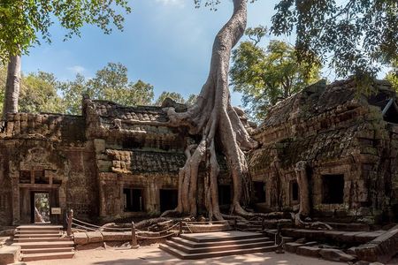 Explore Angkor Wat and Ta Phrom in depth