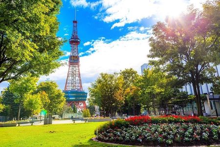 Sapporo 4hr Private Tour with Government Licensed Guide