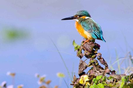 Best of Nepal Luxury Adventure Tour Package - 9 Days 