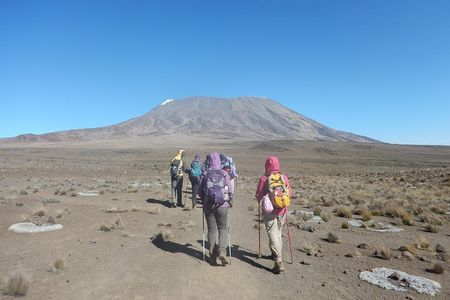 Climbing Mt. Kilimanjaro using Machame Route