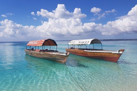 Zanzibar Prison Island Tour and Nakupenda Sandbank Trip - full day