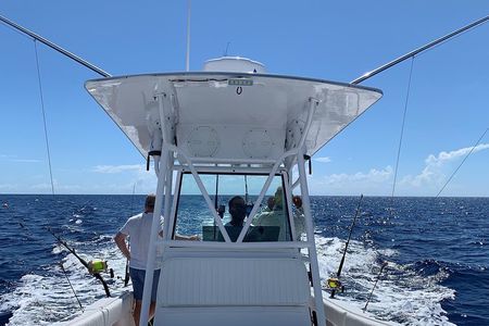 3/4 day deep sea /light tackle fishing 