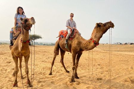 Pushkar Full Day Tour from Jaipur with All Inclusive