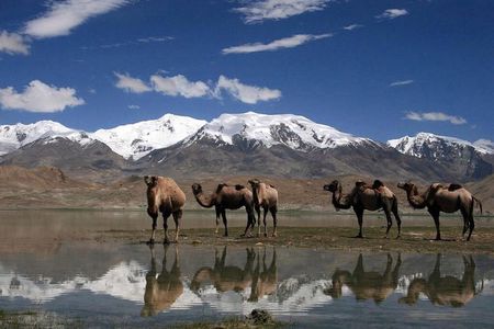 Pamir Highway in 5 days from Dushanbe to Osh 