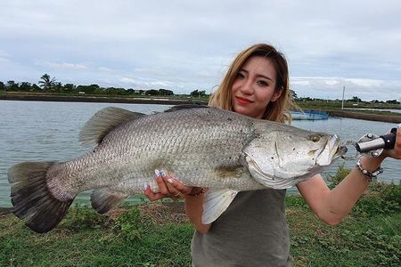 Big Barramundi Lure Fishing Thailand