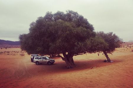 Agadir Trip To Mini Desert / Safari Tour
