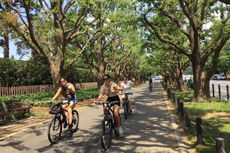 Small Group Cycling Tour in Tokyo