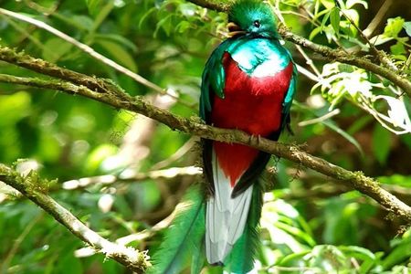 Hiking to Curi-Cancha Reserve