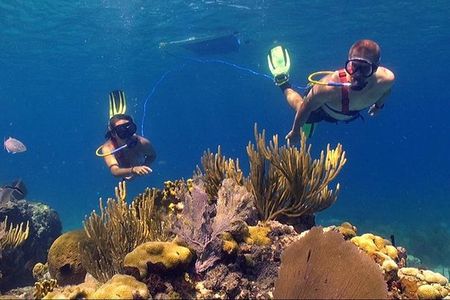 Snuba Adventure at Coral World Ocean Park