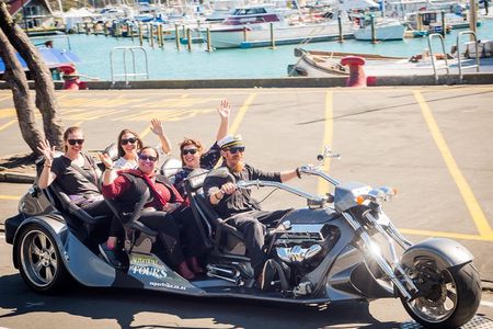 Scenic Te Mata Peak Tour by Supertrike