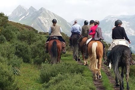 Horse Riding Madrid Natural Park