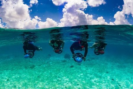 Power Snorkel by Sea Scooter Food & Flavored Tequila tasting