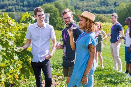 Wine and Lunch Escape