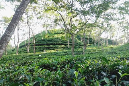 Srimangal nature tour in forest and tea garden