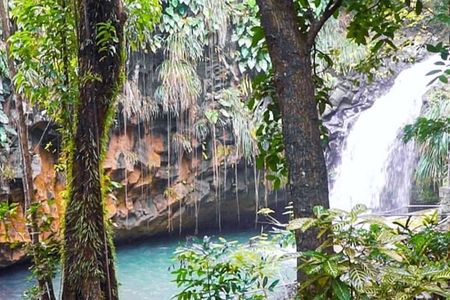 Island Bites & Highlights Food Tour (Full/Half Day)