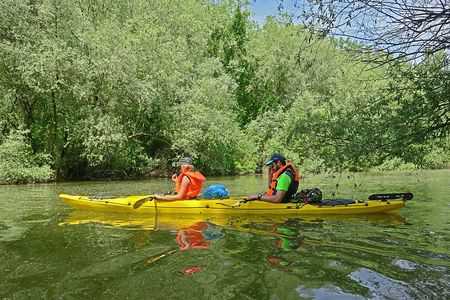 Belgrade War Island Kayak Tour