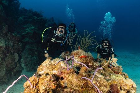 Discover Culebra: 2-Tank Scuba Diving