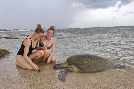 14 Days Tour in Sri Lanka (Hotels with Breakfast & Luxury Car)