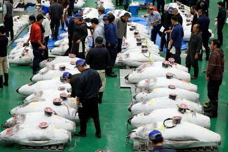 Toyosu Market Morning Tuna Auction and Tsukiji Food Tour with Licensed Guide