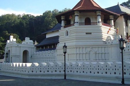 Kandy City Tour 