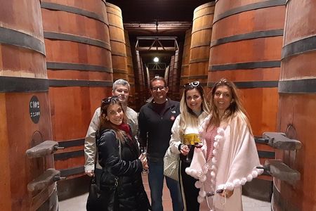 Private Full-Day Santiago City and Wine Tour 
