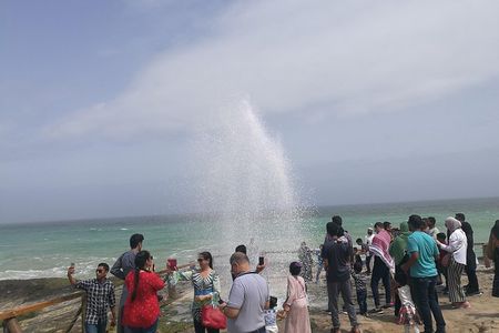 Explore West Salalah’s Stunning Natural Scenery - a Full-Day Tour