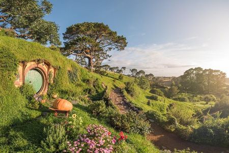 Hobbiton™ Movie Set Walking Tour from Shires Rest
